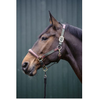 Luna Halfter aus Leder und Nylon HKM Grün / Braun Luna Halfter aus Leder und Nylon HKM Grün / Braun