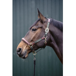 Luna Halfter aus Leder und Nylon HKM Grün / Braun Gr&uuml;n