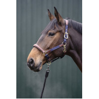 Luna Halfter aus Leder und Nylon HKM Dunkelblau / Braun