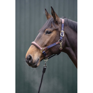 Luna Halfter aus Leder und Nylon HKM Dunkelblau / Braun