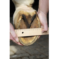 Hufschuhe HKM Hufschuhe HKM