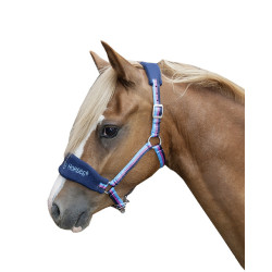 Halfter Funny Horses HKM Halfter Funny Horses HKM