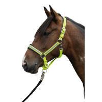 Reflektierendes Halfter HKM Neongelb
