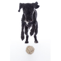 Hundespielzeug Buddy Knot Ball HKM Natürlich Braun Hundespielzeug Buddy Knot Ball HKM Natürlich Braun