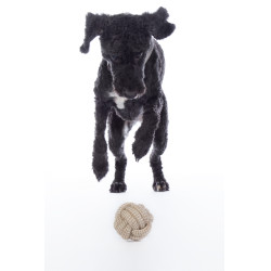 Hundespielzeug Buddy Knot Ball HKM Hundespielzeug Buddy Knot Ball HKM