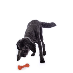 Hundespielzeug Buddy Bone I Naturkautschuk HKM Orange Hundespielzeug Buddy Bone I Naturkautschuk HKM Orange
