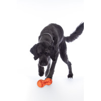 Jouet pour chien Buddy Bone II caoutchouc natu. HKM Orange Jouet pour chien Buddy Bone II caoutchouc natu. HKM Orange
