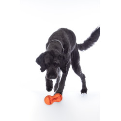 Hundespielzeug Buddy Bone II Naturkautschuk HKM Hundespielzeug Buddy Bone II Naturkautschuk HKM