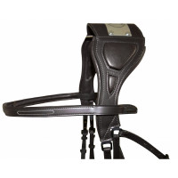 Trensenzaum mit Chagall-Brücke T de T Schwarz