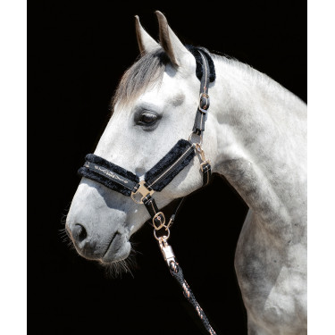 Halfter Roségold HKM Schwarz / Roségold