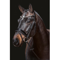 Bridon Fleur HKM Schwarz