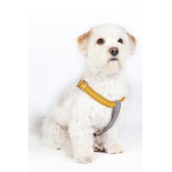 StepIn Hundegeschirr Anam Cara Nylon HKM StepIn Hundegeschirr Anam Cara Nylon HKM