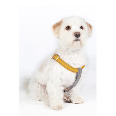 StepIn Hundegeschirr Anam Cara Nylon HKM StepIn Hundegeschirr Anam Cara Nylon HKM