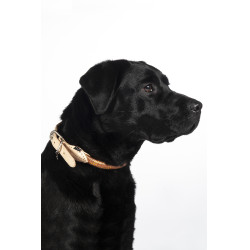 Hundehalsband Anam Cara Seil HKM Hundehalsband Anam Cara Seil HKM