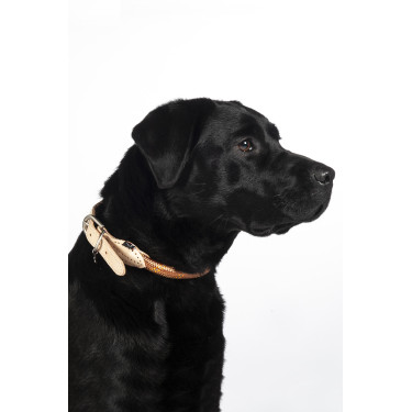 Hundehalsband Anam Cara Seil HKM Hundehalsband Anam Cara Seil HKM