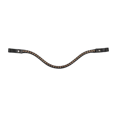 Frontal Passion HKM Bernstein