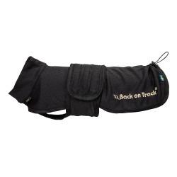 Netzshirt Hund Buddy Back on Track