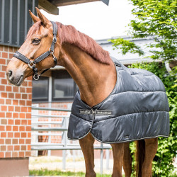 Futter Rhyolite Back on Track Futter Rhyolite Back on Track