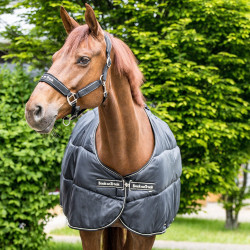 Futter Rhyolite Back on Track Futter Rhyolite Back on Track