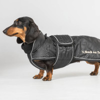 Langer Hundemantel Back on Track Buddy Blau