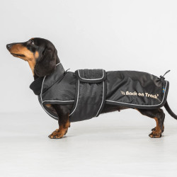 Langer Hundemantel Back on Track Buddy Schwarz