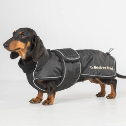 Langer Hundemantel Back on Track Buddy Schwarz