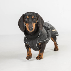 Langer Hundemantel Back on Track Buddy Schwarz