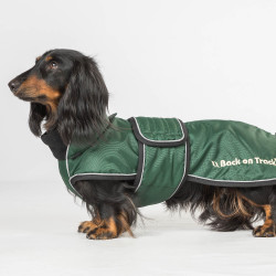 Langer Hundemantel Back on Track Buddy Grün Grün Langer Hundemantel Back on Track Buddy Grün Grün