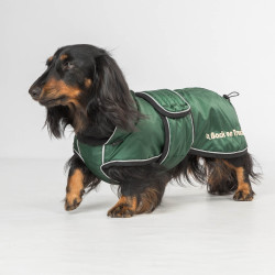 Langer Hundemantel Back on Track Buddy Grün Grün Langer Hundemantel Back on Track Buddy Grün Grün