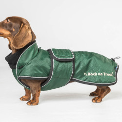 Langer Hundemantel Back on Track Buddy Grün Grün Langer Hundemantel Back on Track Buddy Grün Grün