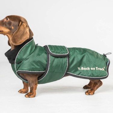 Langer Hundemantel Back on Track Buddy Grün Grün Langer Hundemantel Back on Track Buddy Grün Grün