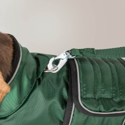 Langer Hundemantel Back on Track Buddy Grün Grün Langer Hundemantel Back on Track Buddy Grün Grün