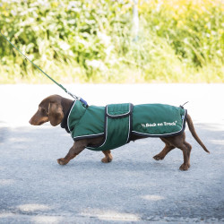 Langer Hundemantel Back on Track Buddy Grün Grün Langer Hundemantel Back on Track Buddy Grün Grün