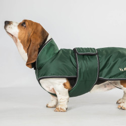 Langer Hundemantel Back on Track Buddy Grün Grün Langer Hundemantel Back on Track Buddy Grün Grün