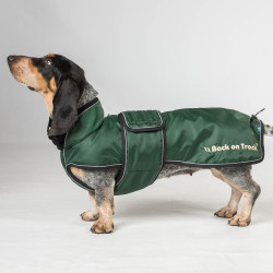 Langer Hundemantel Back on Track Buddy Grün Grün Langer Hundemantel Back on Track Buddy Grün Grün