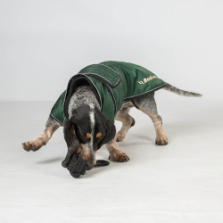 Langer Hundemantel Back on Track Buddy Grün Grün Langer Hundemantel Back on Track Buddy Grün Grün