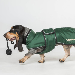 Langer Hundemantel Back on Track Buddy Grün Grün Langer Hundemantel Back on Track Buddy Grün Grün