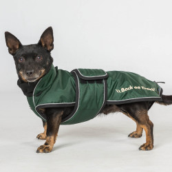 Langer Hundemantel Back on Track Buddy Grün Grün Langer Hundemantel Back on Track Buddy Grün Grün