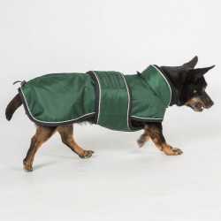 Langer Hundemantel Back on Track Buddy Grün Grün Langer Hundemantel Back on Track Buddy Grün Grün