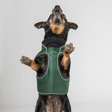 Langer Hundemantel Back on Track Buddy Grün Grün Langer Hundemantel Back on Track Buddy Grün Grün
