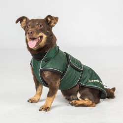 Langer Hundemantel Back on Track Buddy Grün Grün Langer Hundemantel Back on Track Buddy Grün Grün