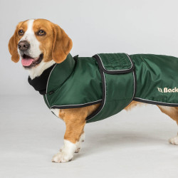 Langer Hundemantel Back on Track Buddy Grün Grün Langer Hundemantel Back on Track Buddy Grün Grün
