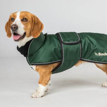 Langer Hundemantel Back on Track Buddy Grün Grün Langer Hundemantel Back on Track Buddy Grün Grün