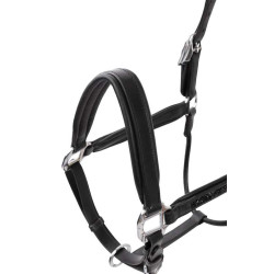 Lederhalfter Horze Delémont Schwarz