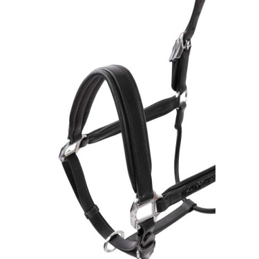 Lederhalfter Horze Delémont Schwarz