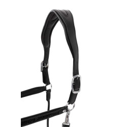 Lederhalfter Horze Delémont Schwarz