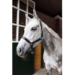 Lederhalfter Horze Delémont Schwarz