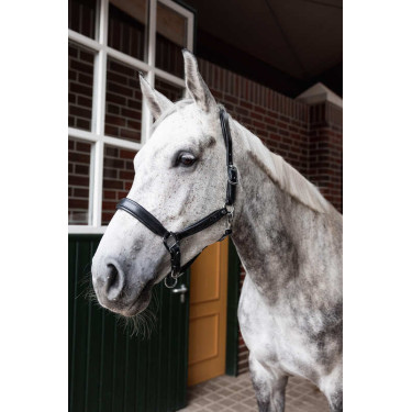 Lederhalfter Horze Delémont Schwarz