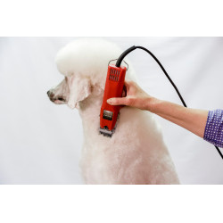 Schermaschine Favorita Speed Aesculap Rot