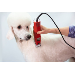 Schermaschine Favorita Speed Aesculap Rot